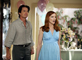 desperate housewives - desperate-housewives photo