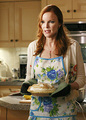 dh - desperate-housewives photo