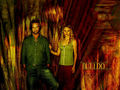 lost - sawyer/claire wallpaper