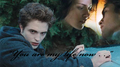 Bella + Edward - twilight-series fan art
