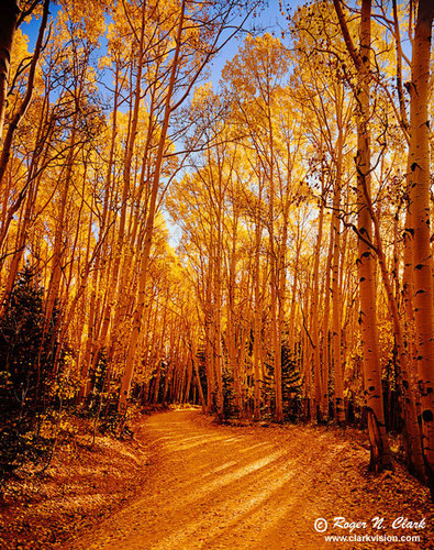  Colorado.fall.2003