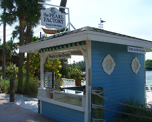  Disney's समुद्र तट Club Resort