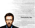 Everybody Lies - house-md wallpaper