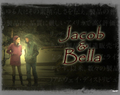 JACOB BELLA - twilight-series fan art