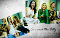 SATC the movie - sex-and-the-city wallpaper