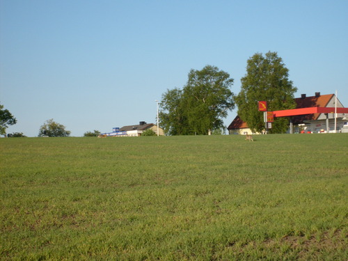  Skåne Countryside