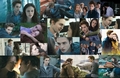 Twilight Collage - twilight-series fan art
