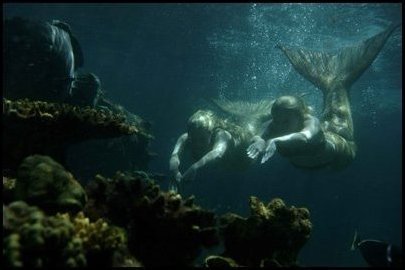  Underwater Wonderland