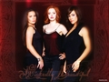 Wickedly Beautiful - charmed wallpaper
