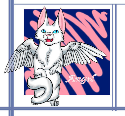 Angel – Jäger der Finsternis cat