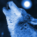 Howling Wolf - wolves icon