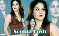 Sophia - sophia-bush fan art