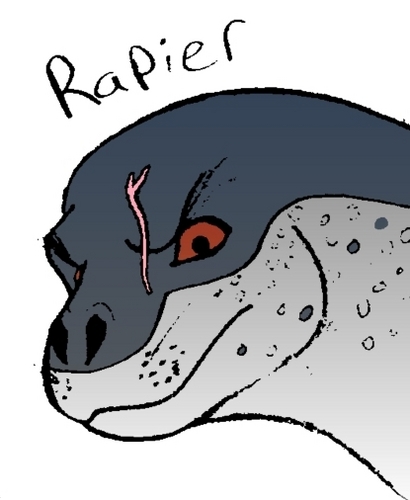  Surf's Up OC; Rapier the leopard zeehond, seal