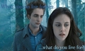 Twilight - Bella/Edward - twilight-series fan art