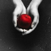 Twilight Series - twilight-series icon
