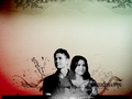 sophia bush & chad michael murray - celebrity-couples wallpaper