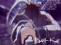 Bankai - bleach-anime photo