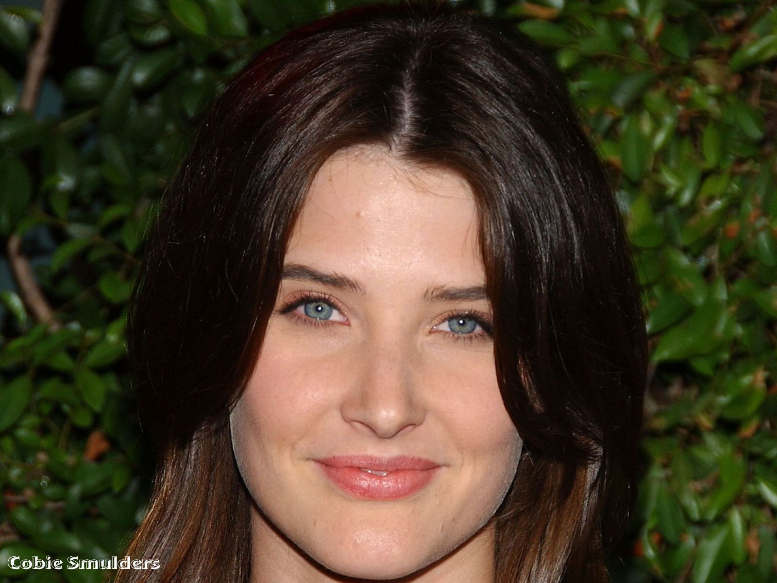 Cobie Smulders - Picture Hot