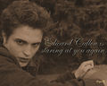 Edward Cullen staring again - twilight-series wallpaper