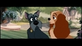 Lady and the Tramp - disney photo
