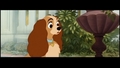 Lady and the Tramp - disney photo
