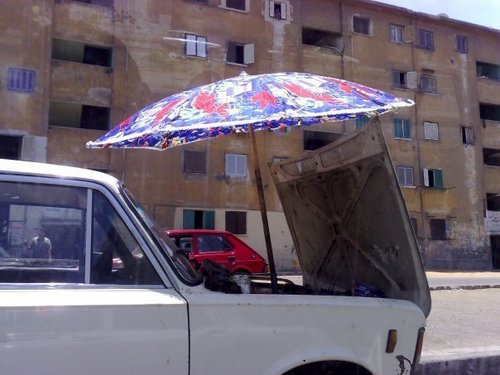 Only In Egypt