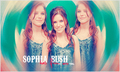 Sophia - sophia-bush fan art