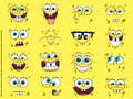 spongebob-squarepants - Spongebob wallpaper