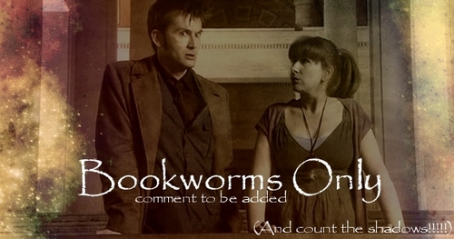  The Doctor and Donna Noble Banner
