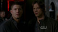 Dean and Sammy - supernatural photo