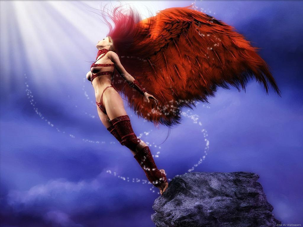http://images1.fanpop.com/images/photos/1600000/RED-WINGS-fairies-1695878-1024-768.jpg