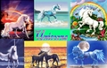 Unicorn Background - unicorns photo