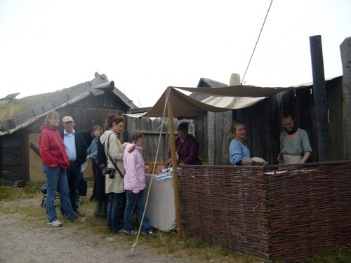 Viking Market 2008