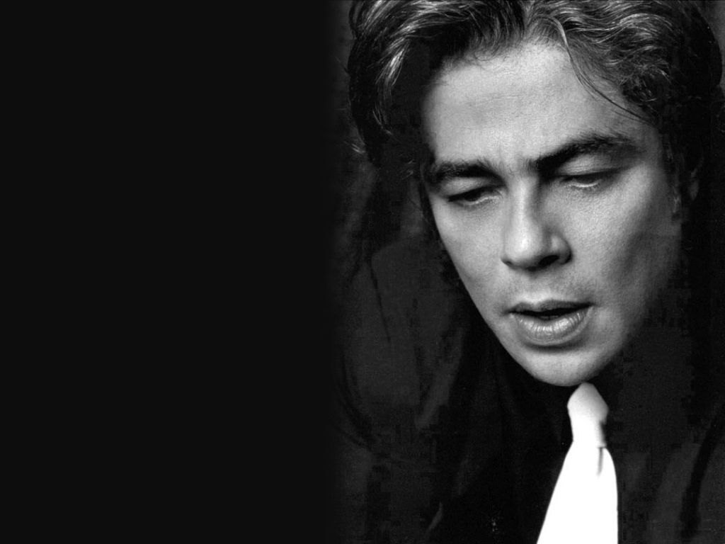 Benicio Del Toro - Images Hot
