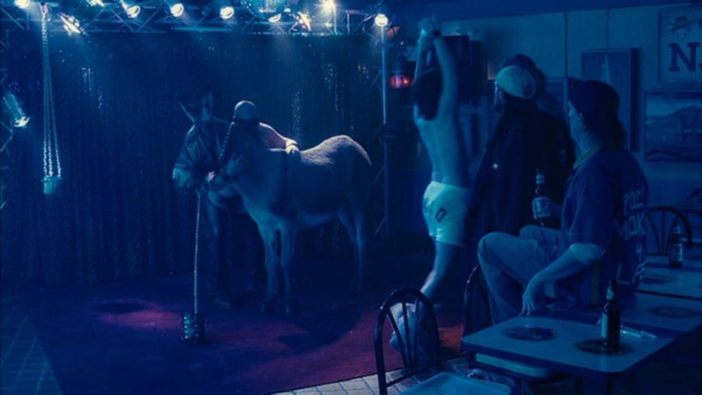 Tijuana Donkey Show Porn.
