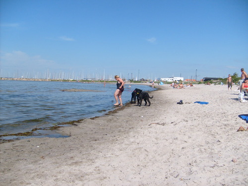  Dog tabing-dagat in Sweden
