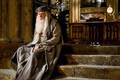 HBP Dumbledore Thinking HI-RES - harry-potter photo