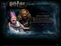HP Bio - harry-potter-movies photo