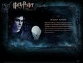 HP Bio - harry-potter-movies photo