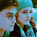 Harry Potter and the Half-Blood Prince - harry-potter icon