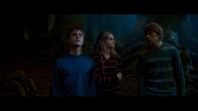 In the order of Phoenix
