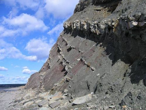 Joggins Fossil Cliffs (Natural Wonder)