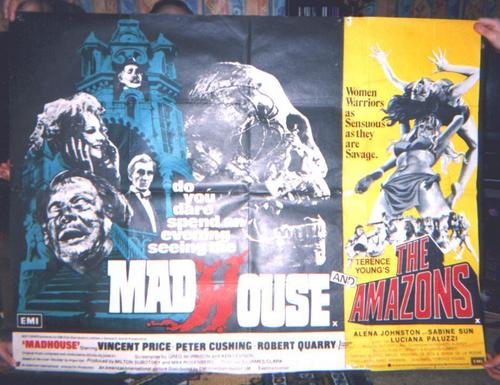  Madhouse poster