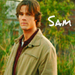 Sammy - sam-winchester icon