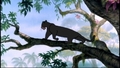 The Jungle Book - classic-disney screencap