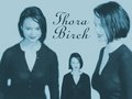 thora-birch - Thora wallpaper