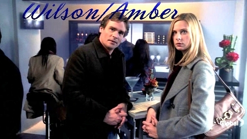  Wilson/Amber