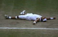 Winner! of Wimbledon 2008 - tennis photo