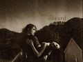 twilight-series - Bella & Edward wallpaper