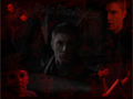 supernatural - Dean Winchester WP6 wallpaper